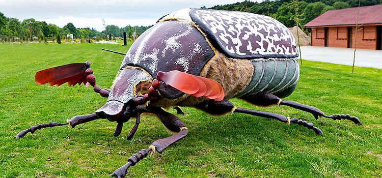 Giant Insect