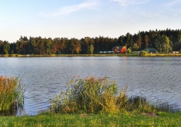 Lagoon gastronomy and surrounding forests