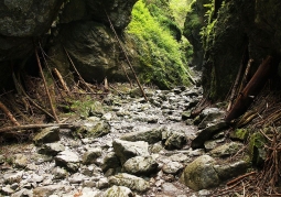 Cracow Gorge - Kościeliska Valley