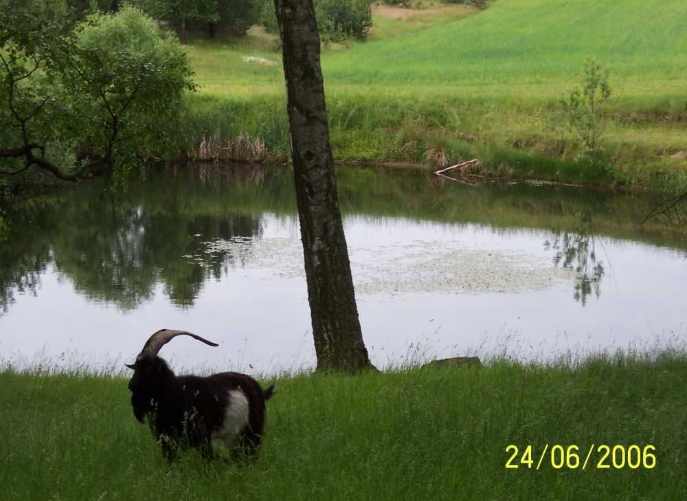 Pażęce agrotourism farm