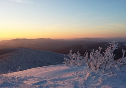 Little Rawka - Bieszczady National Park