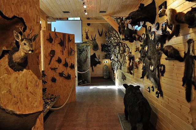 Museum of Hunting and Hunting