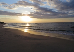 Plaża o zachodzie słońca