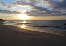 Beach at sunset