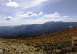 View from Połonina Caryńska