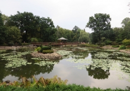 Photo: Japanese Garden