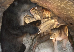 Modele zwierząt jaskiniowych - ekspozycja w pawilonie wejściowym