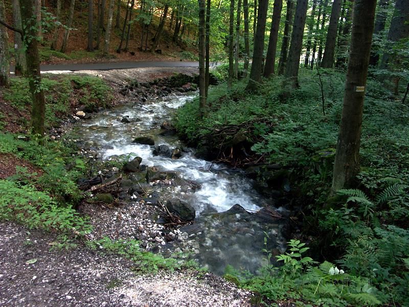 Rezerwat przyrody Jaskinia Niedźwiedzia