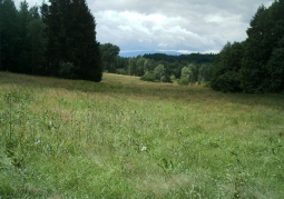 Meadow on Radunia