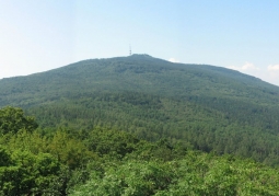 View on Ślęza from the tower on Wieżyca