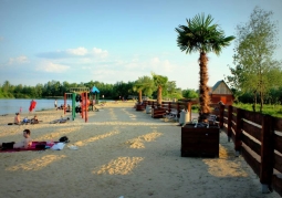 Palm trees and beach