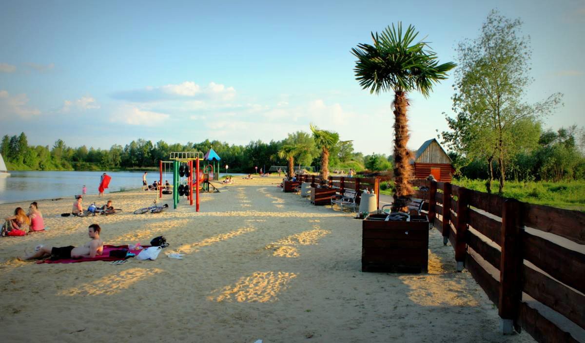 Palm trees and beach