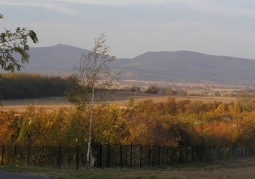 Widok na Radunię wraz ze Ślężą