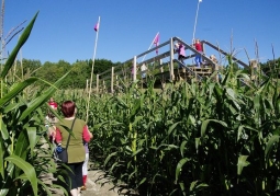 Photo: The World of Bliziny Labyrinths