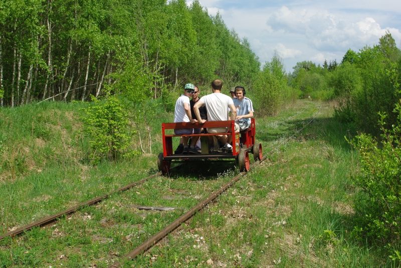 Bialowieza Forest