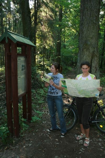 Bialowieza Forest