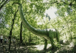 Zdjęcie: Park Dinozaurów