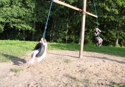 tire swing at the playground