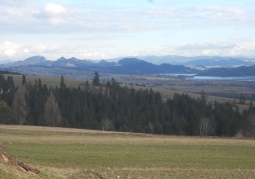 Pieniny