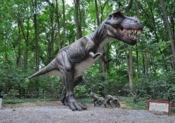 Dino Park - Malbork