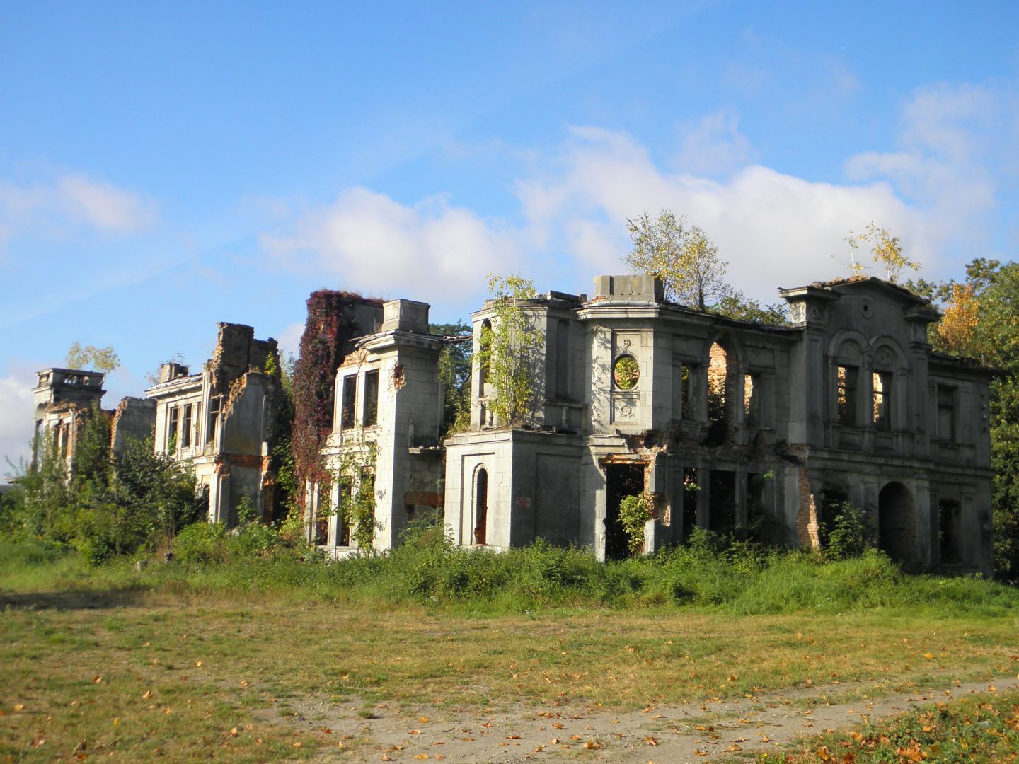 Ruiny pałacu