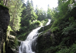 View of the waterfall in summer