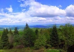 View from the tower