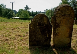 Cmentarz żydowski Kirkut - Krosno