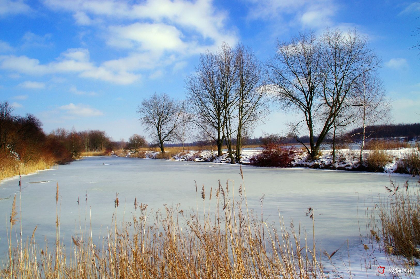 Bytom - Żabie Doły Nature and Landscape Complex