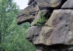The Witch Rock