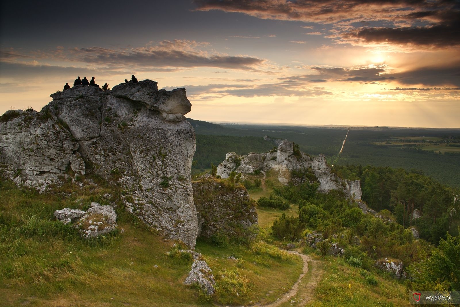 Góra Zborów Nature Reserve