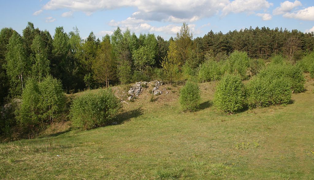 Załęczański Landscape Park