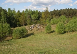 Fragment of the Węże Reserve