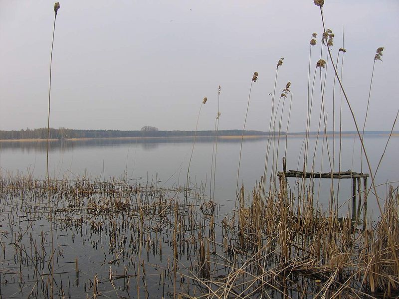 Powidzki Park Krajobrazowy