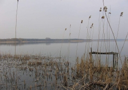 Photo: Powidz Lake