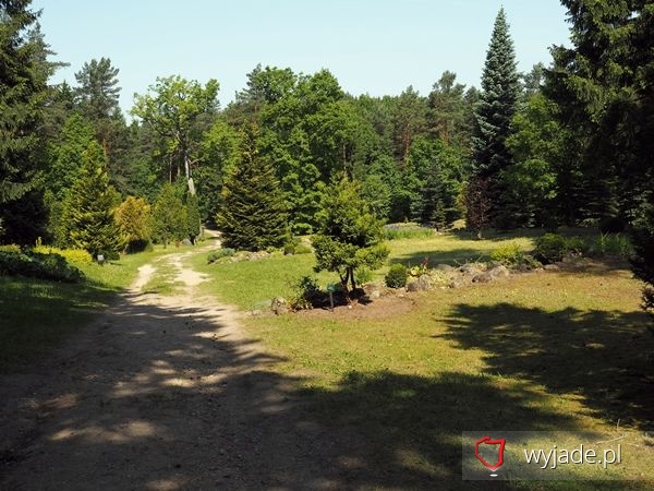 Arboretum im. Powstańców 1863r.