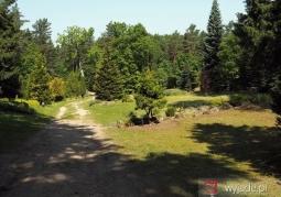 Arboretum im. Powstańców 1863r.