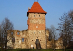 Castle in Chudów