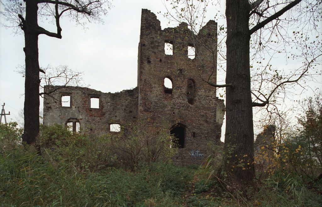 Castle ruins in the period before reconstruction work began