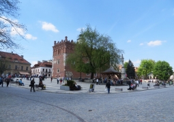 Photo: Sandomierz town hall