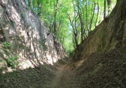 Photo: Ravine in spring