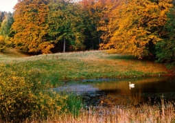 Nature of Ińsko Landscape Park