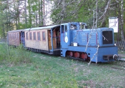 Pociąg kolejki wąskotorowej