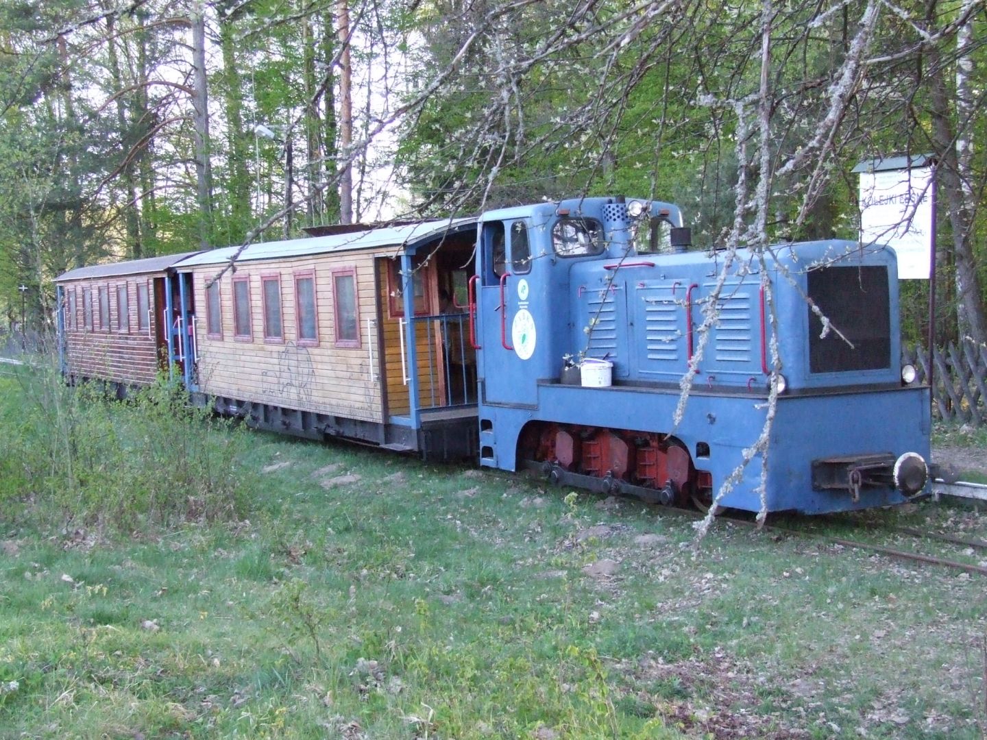 Narrow-gauge train