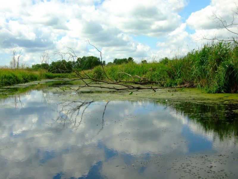 Cedyński Park Krajobrazowy