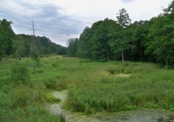 Royal Sources Nature Reserve - Kozienice Landscape Park