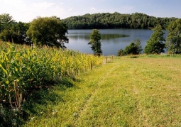 Rezerwat przyrody Jezioro Hańcza - Suwalski Park Krajobrazowy