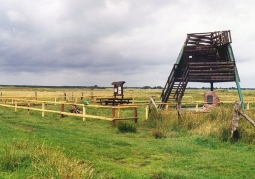 Lookout tower