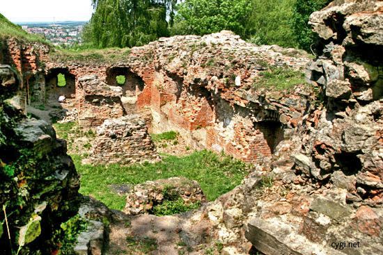 Tarnowski Castle Ruins