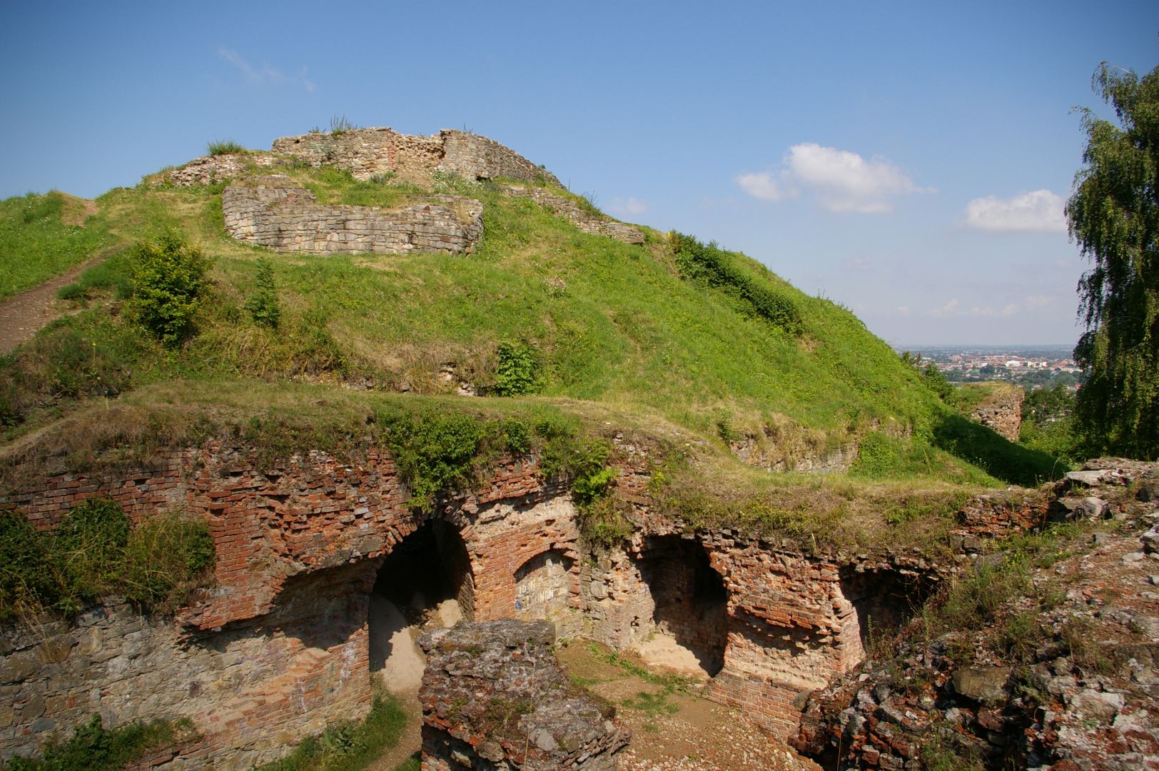 Tarnowski Castle Ruins